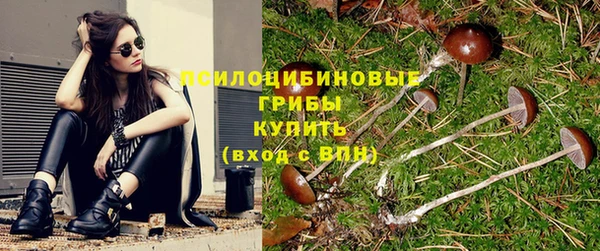 дурь Няндома